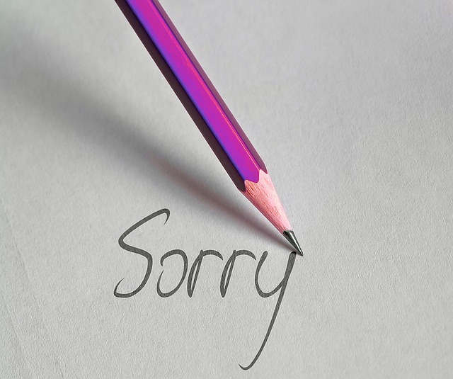 How to say sorry